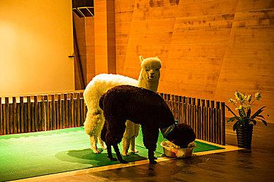 《七龙珠 电光炸裂！ZERO》发布人造人篇预告