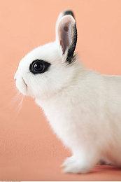 《星际裂变》合作模式实机演示首次公开